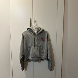 Aritzia TNA hoodie